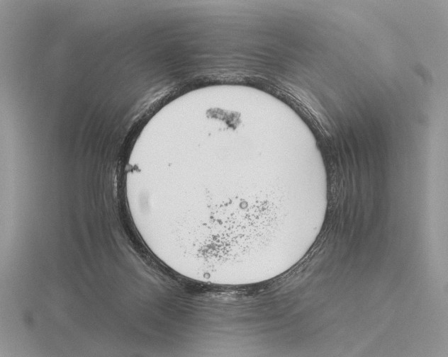 X0000115660120200912101059