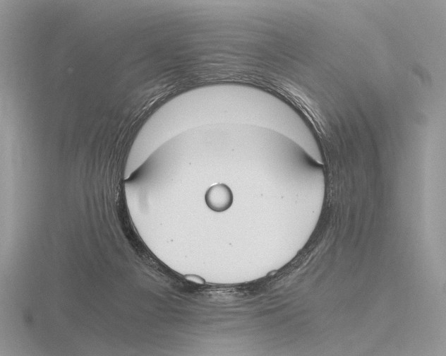 X0000115660121200912101059