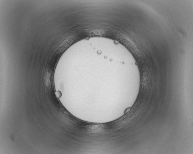 X0000115660122200912101059