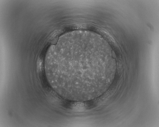 X0000115660123200912101059