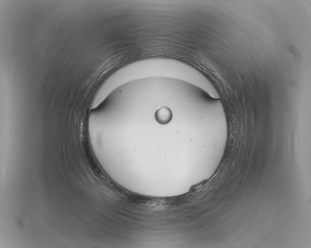 X0000115660124200912101059