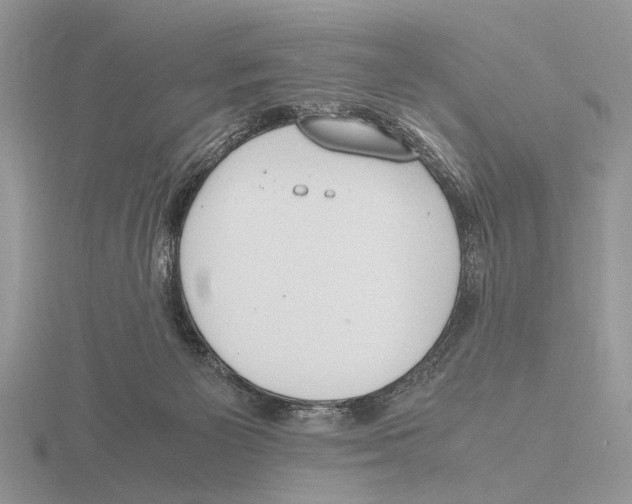 X0000115660125200912101059