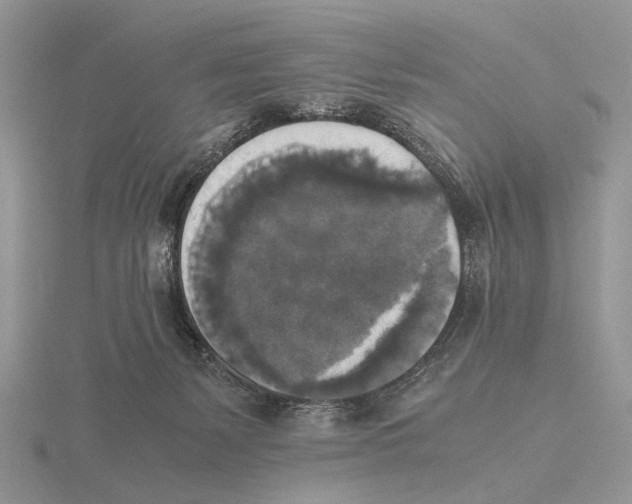 X0000115660127200912101059