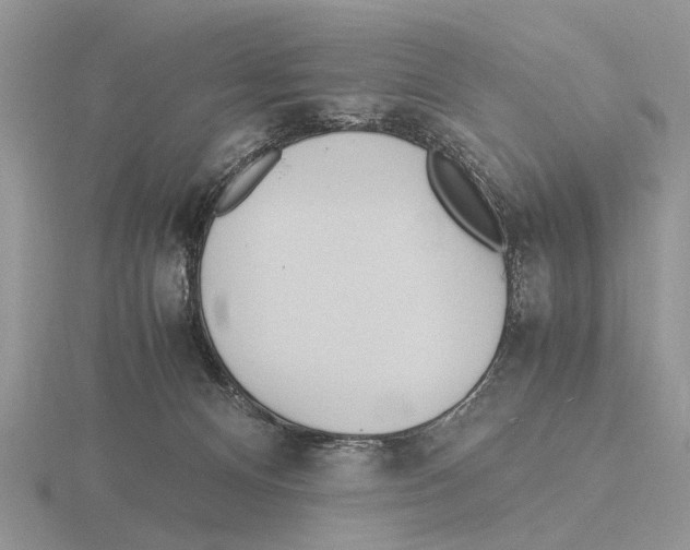 X0000115660128200912101059