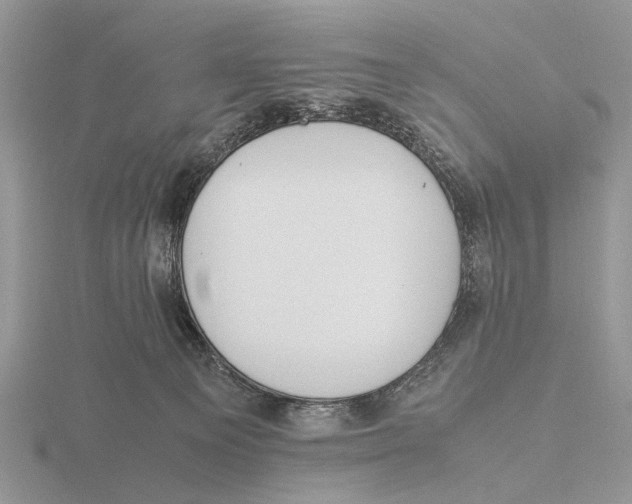 X0000115660129200912101059