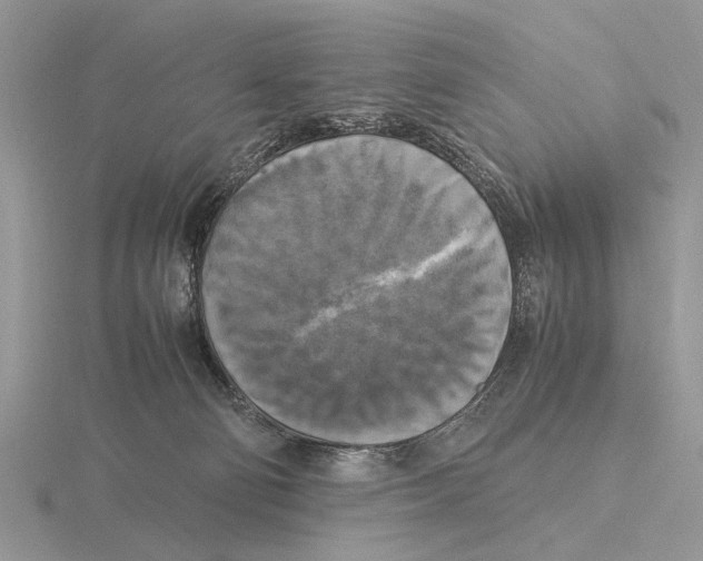 X0000115660130200912101059