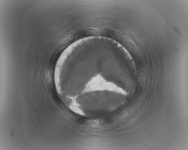 X0000115660131200912101059