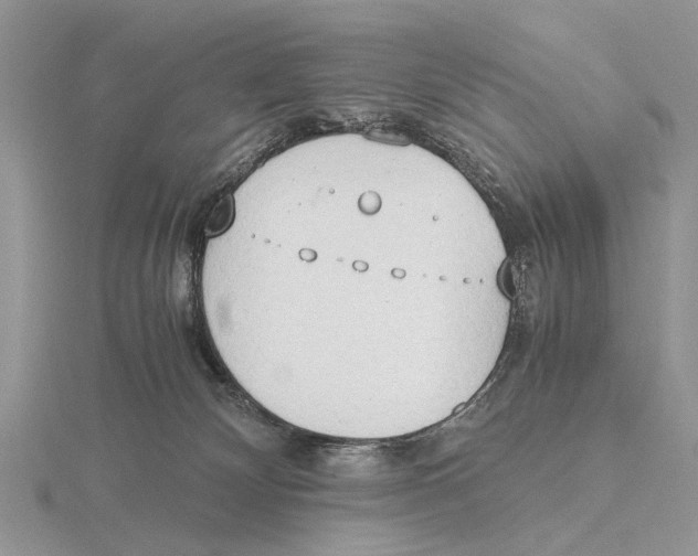 X0000115660132200912101059