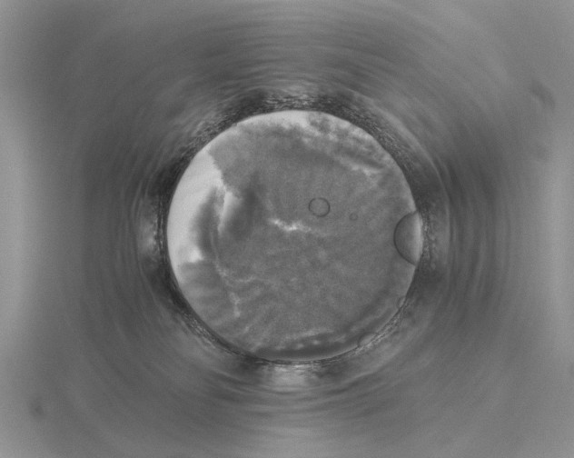 X0000115660134200912101059