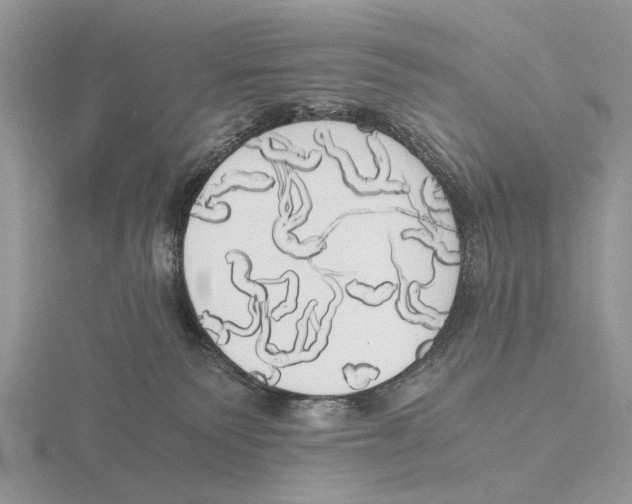 X0000115660135200912101059