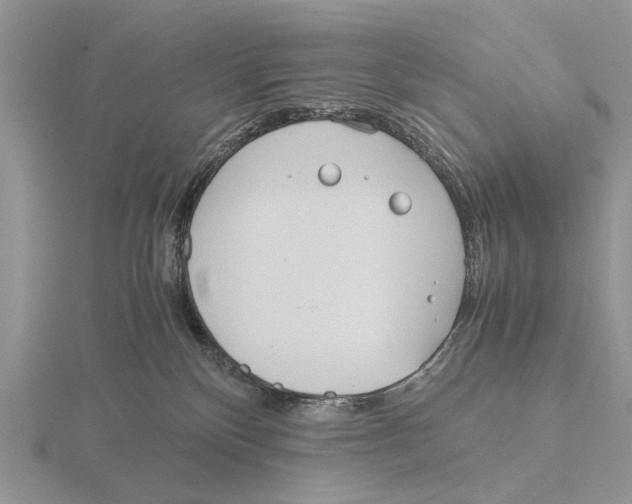 X0000115660136200912101059