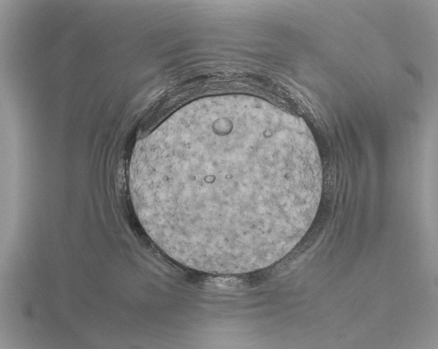 X0000115660137200912101059