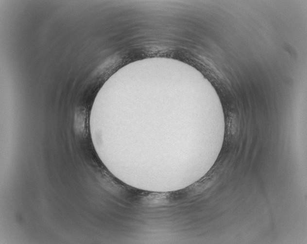 X0000115660138200912101059