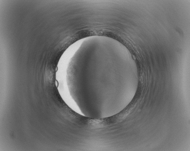 X0000115660139200912101059