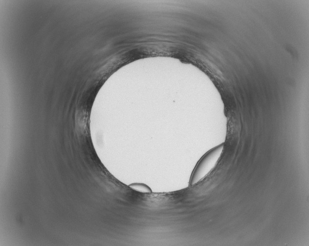 X0000115660141200912101059