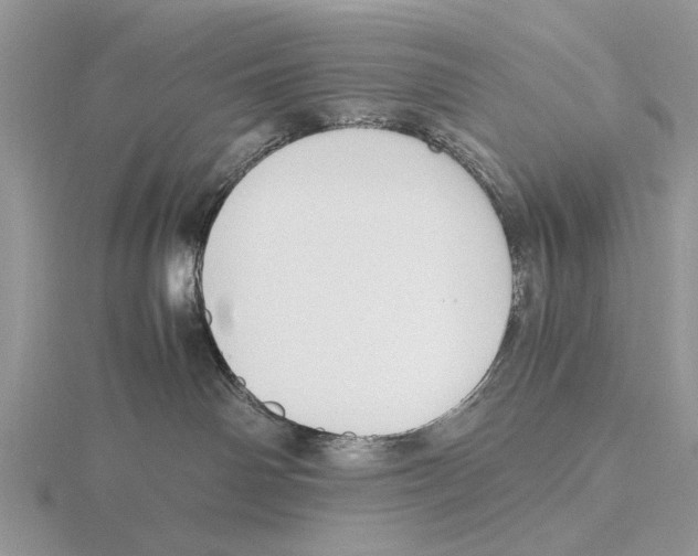 X0000115660142200912101059