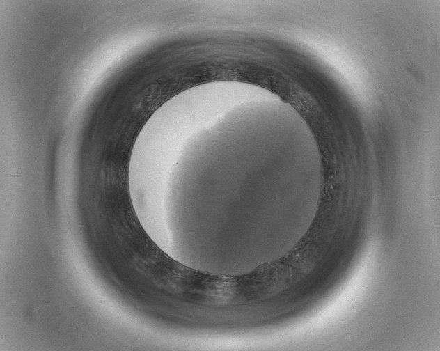 X0000115660143200912101059