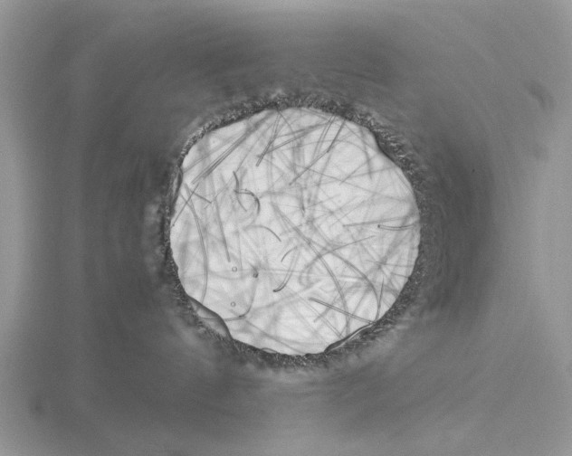 X0000115660144200912101059