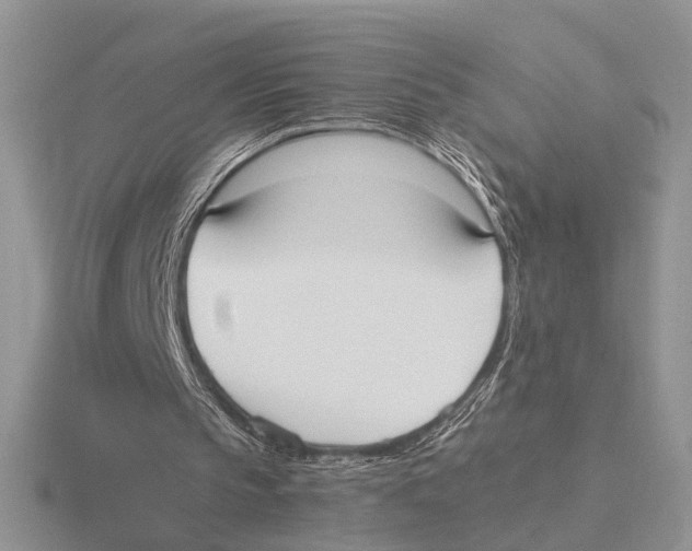 X0000115660145200912101058