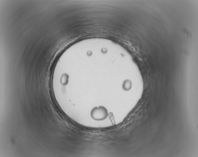 X0000115660146200912101058