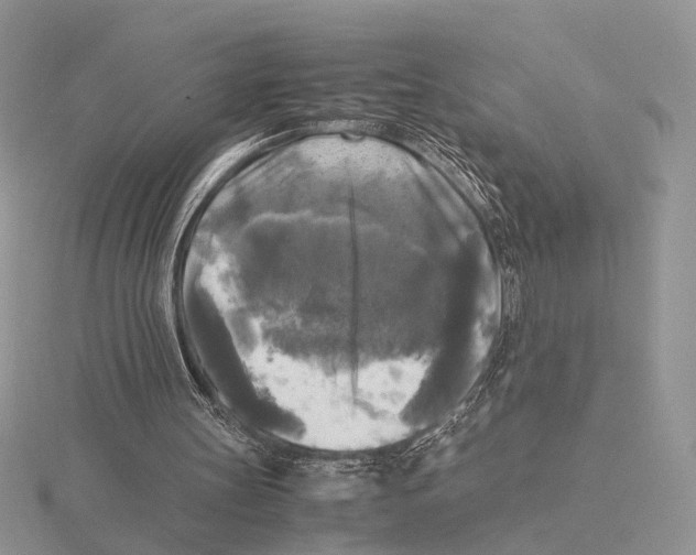 X0000115660147200912101058