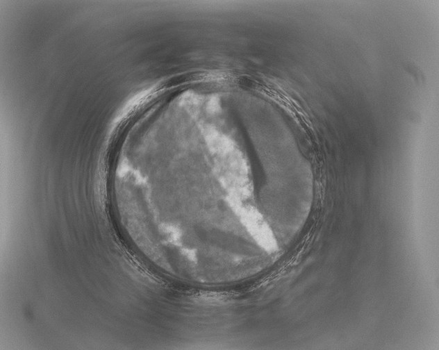 X0000115660149200912101058