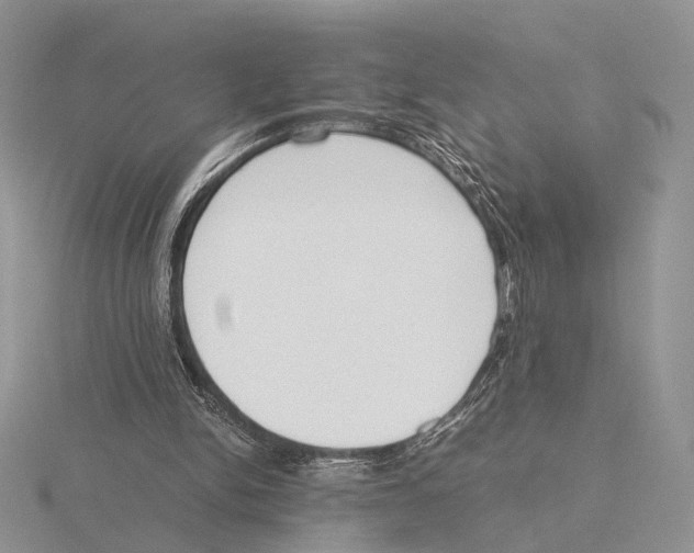 X0000115660150200912101058