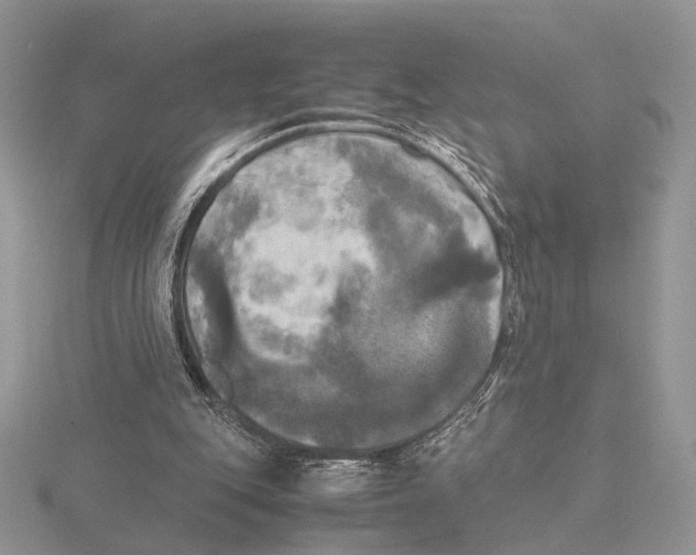 X0000115660151200912101058