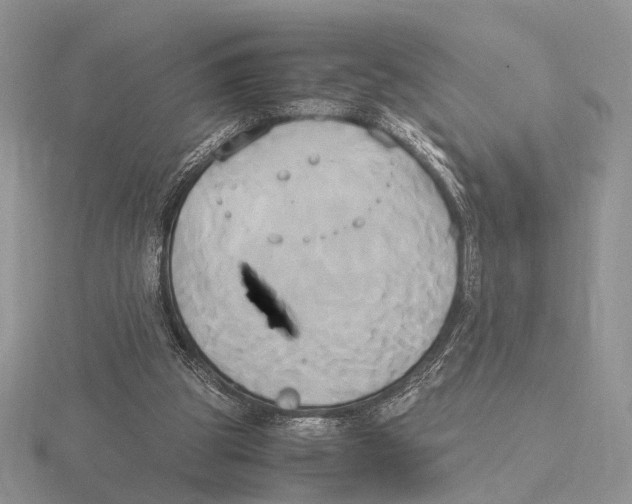 X0000115660153200912101058