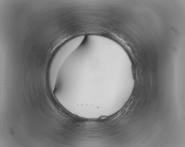 X0000115660154200912101058