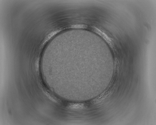 X0000115660155200912101058