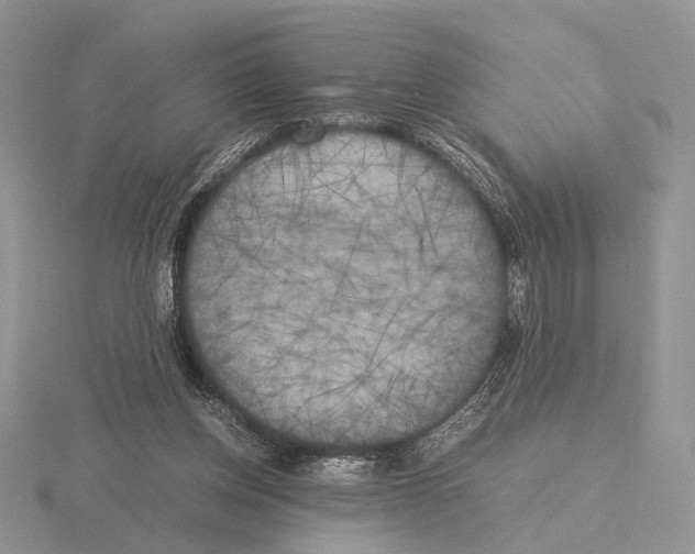 X0000115660158200912101058