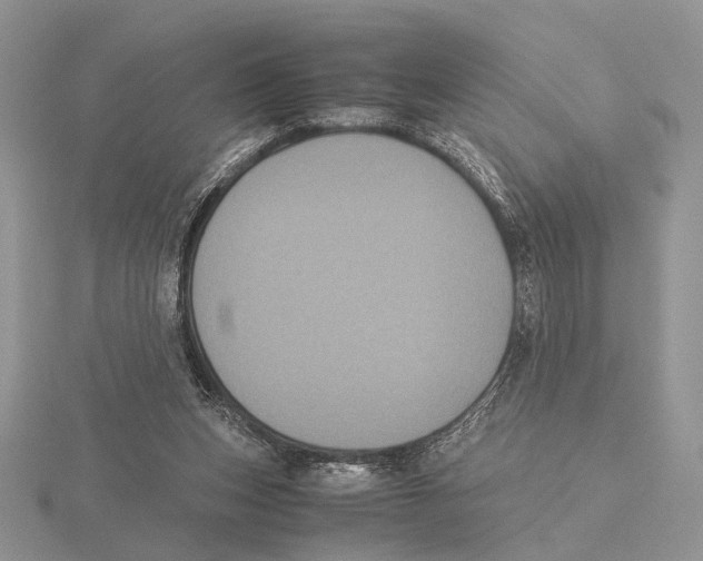 X0000115660159200912101058