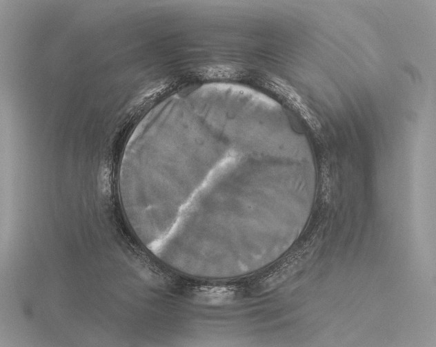 X0000115660161200912101058