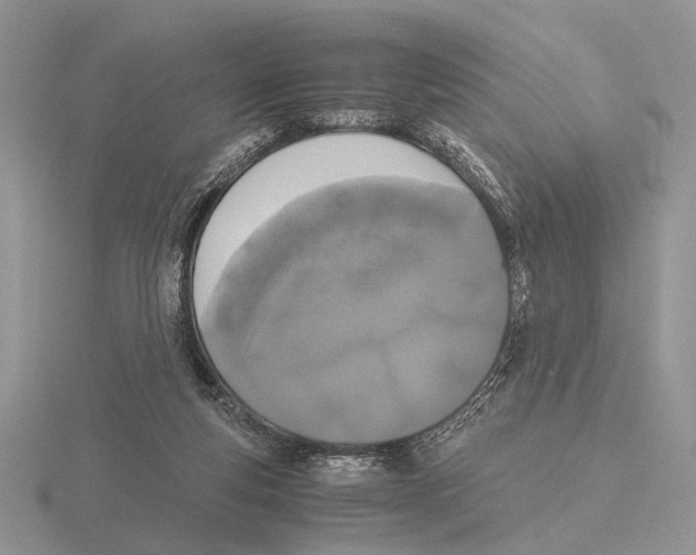 X0000115660163200912101059