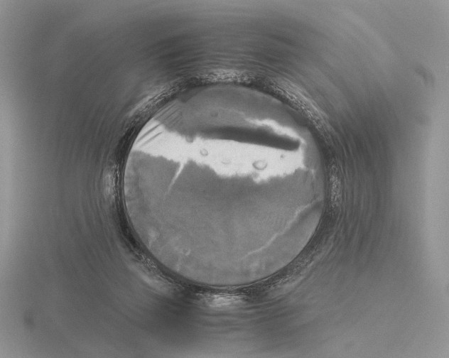 X0000115660165200912101059