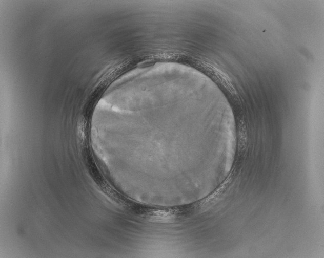 X0000115660166200912101059