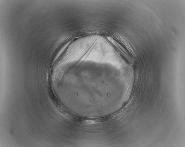 X0000115660167200912101059