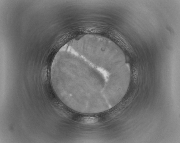 X0000115660169200912101059