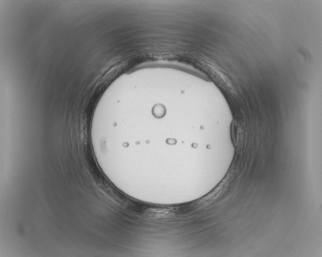 X0000115660170200912101059