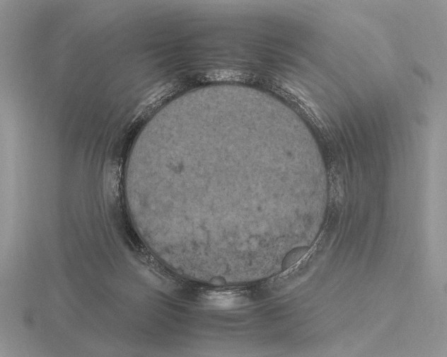 X0000115660171200912101059