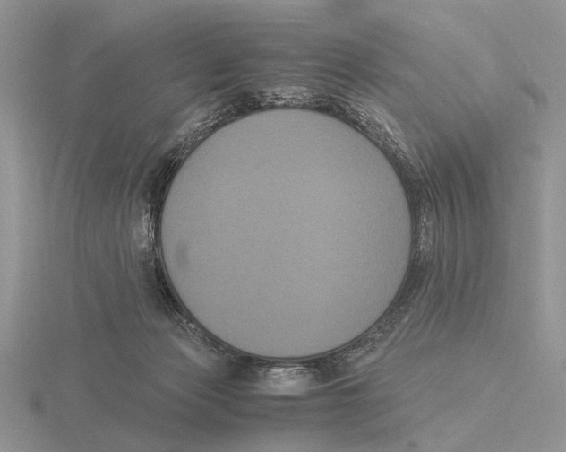 X0000115660173200912101059