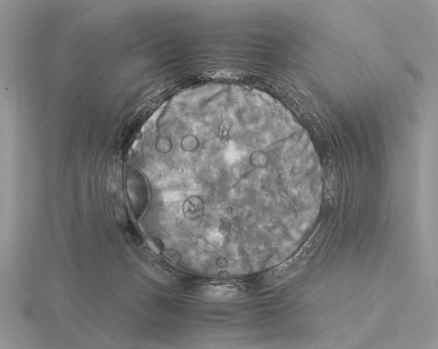 X0000115660175200912101059