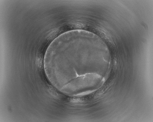 X0000115660177200912101059