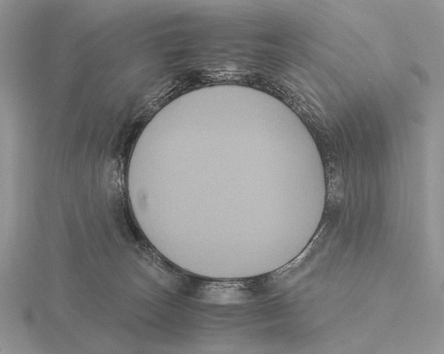 X0000115660179200912101059