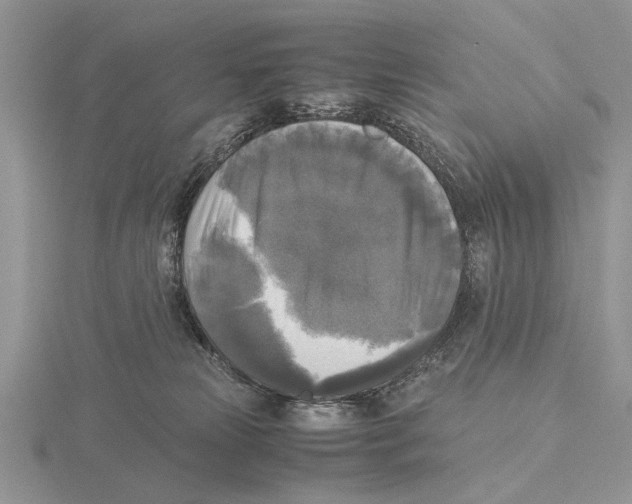 X0000115660181200912101059