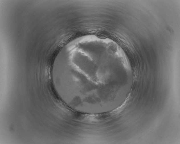 X0000115660182200912101059