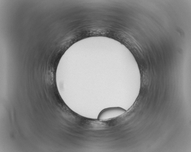 X0000115660183200912101059