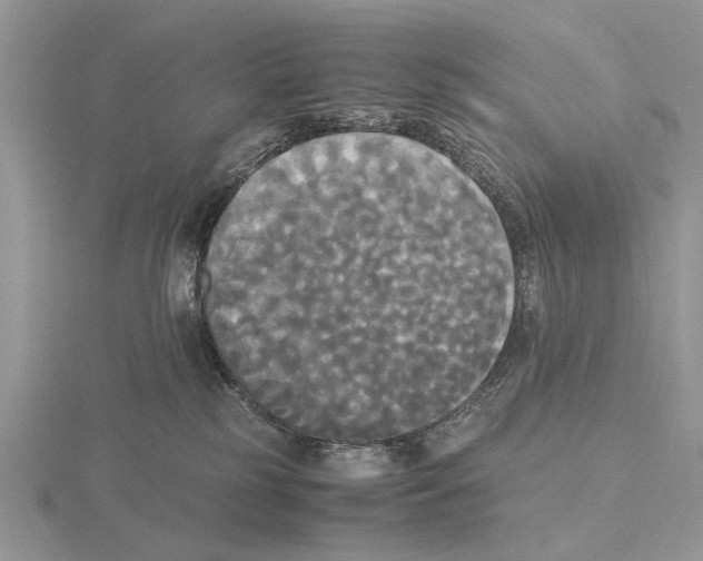 X0000115660185200912101059