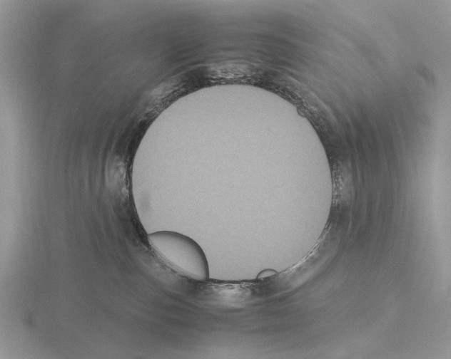 X0000115660187200912101059